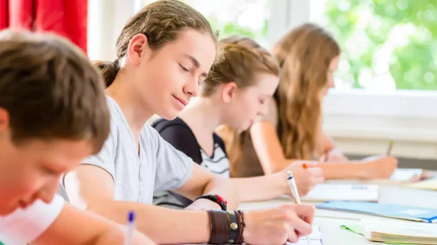 Baremul de corectare pentru proba de Limba Română de la Evaluarea Națională 2024, publicat pe site-ul Edu.ro