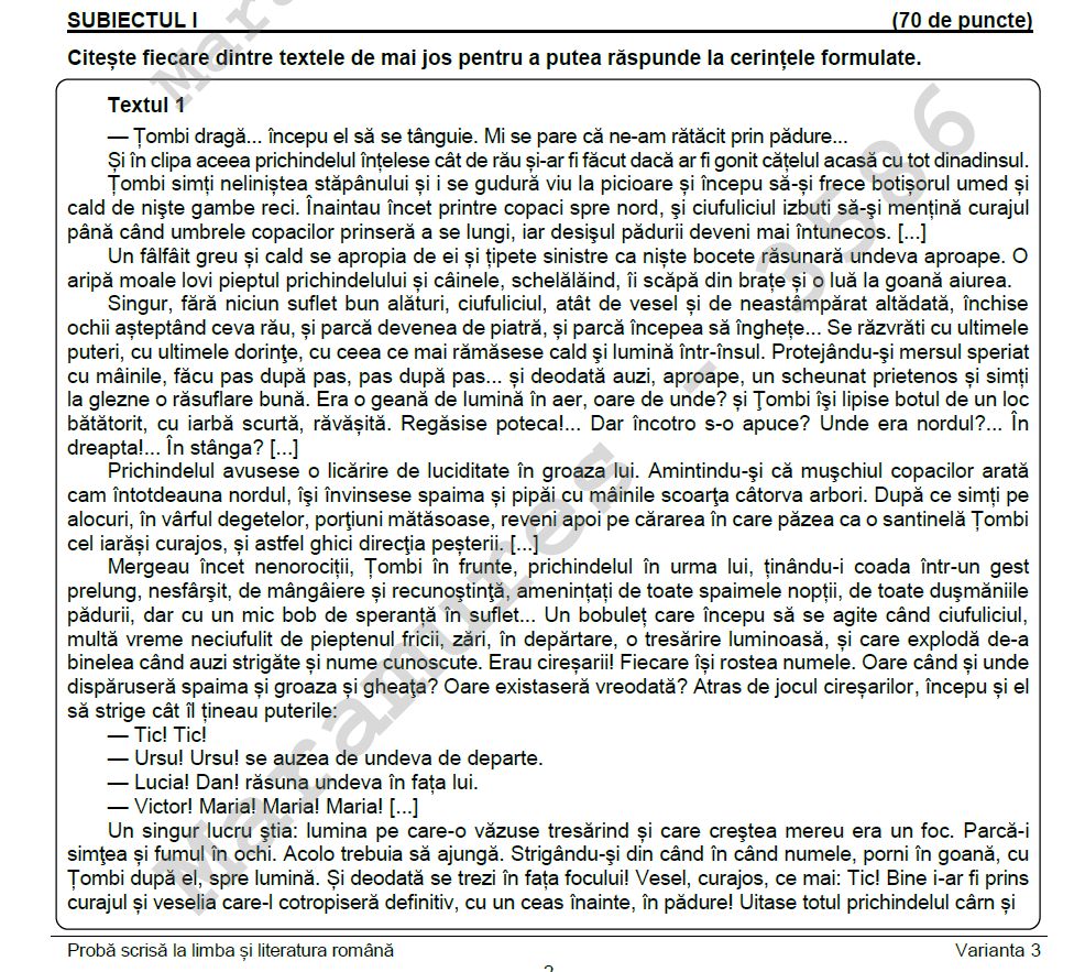 subiectele la romana la evaluarea nationala 2024 1