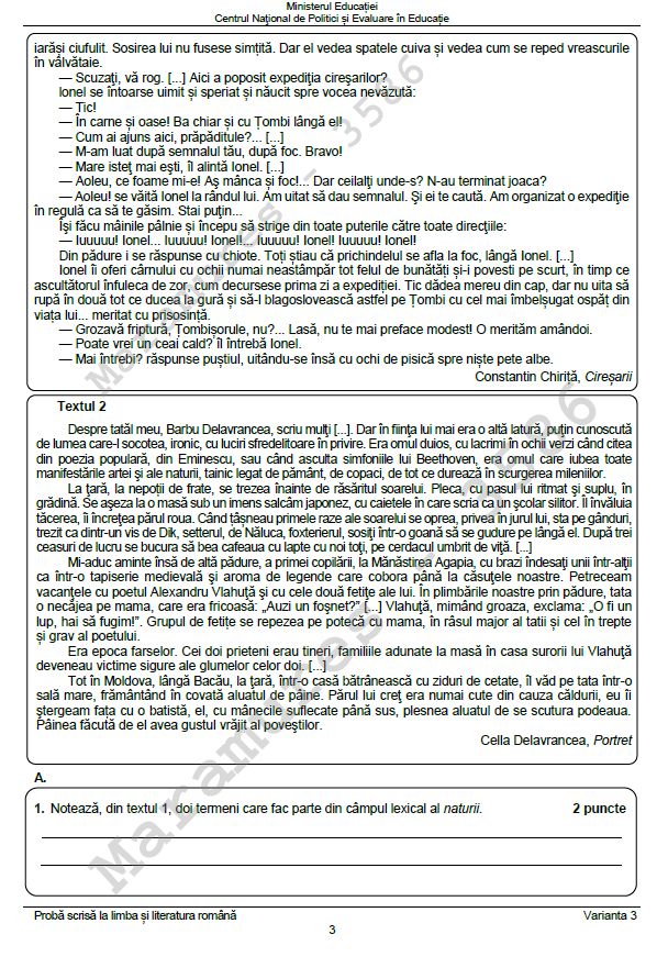 subiectele la romana la evaluarea nationala 2024 2
