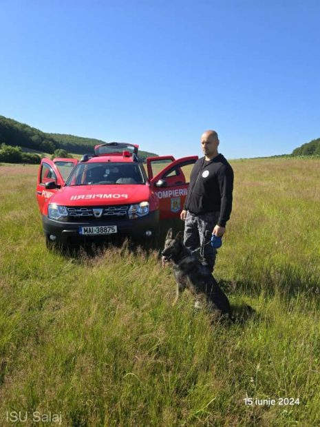 Un câine de căutare-salvare a ajutat la găsirea unei femei care s-a rătăcit și a rămas toată noaptea într-o pădure din Sălaj