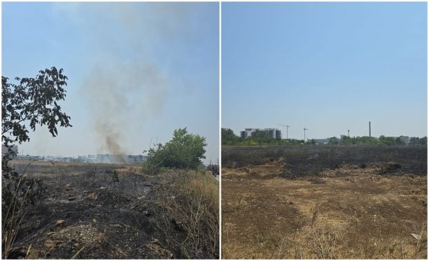 Incendiu în Chiajna. Au ars aproximativ 50.000 mp de vegetație uscată