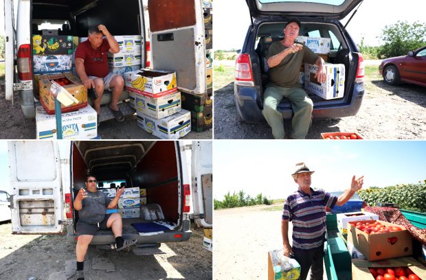 REPORTAJ. Furie în piața de legume din Glodeanu Sărat, Buzău. Lăsați la mâna samsarilor, producătorii locali își anunță abandonul: „Să pună Guvernul roșii!” 