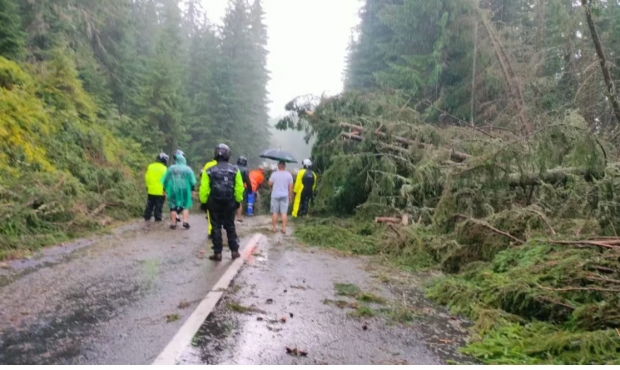 Zeci de mașini blocate pe Transalpina, după ce mai mulți copaci au căzut pe drum, în urma unei furtuni