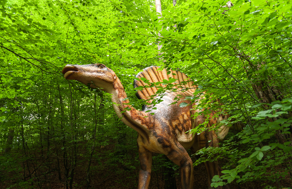 dino parc