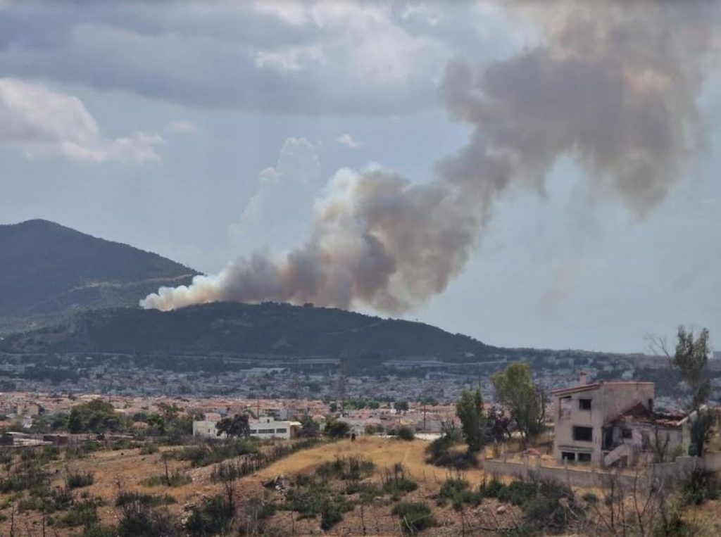 Incendiu devastator în pădurea din Glyka Nera, aproape de Atena 2 Imagine incendiu Glyka Nera