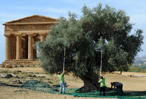 O localitate din Italia, considerată un paradis turistic, nevoită să refuze turiștii pentru că nu le poate garanta că pot trage apa la toaletă