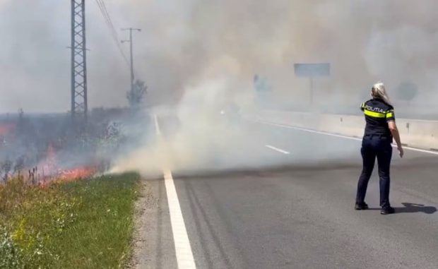 Incendiu puternic de vegetație în Popești Leordeni. Mașina pompierilor și o casă, afectate din cauza rafalelor de vânt. S-a emis RO Alert