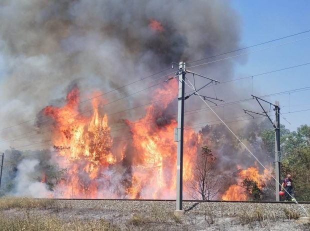 Cinci trenuri de călători, oprite din cauza unui incendiu de vegetaţie, între staţiile Dunărea şi Cernavodă Pod