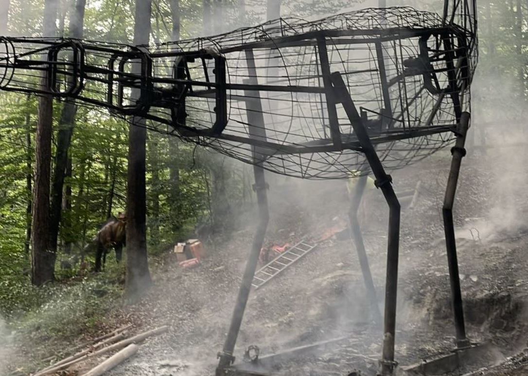 Incendiu La Dino Parc Din Râşnov. Un Dinozaur De Zece Metri A Luat Foc