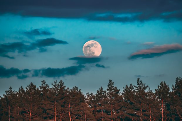 Luna plină din 21 iulie și zodiile. De ce ne este teamă cu adevărat?