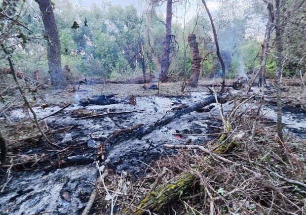 Noi fragmente de dronă, găsite în Tulcea. MApN: Zonele sune nelocuite