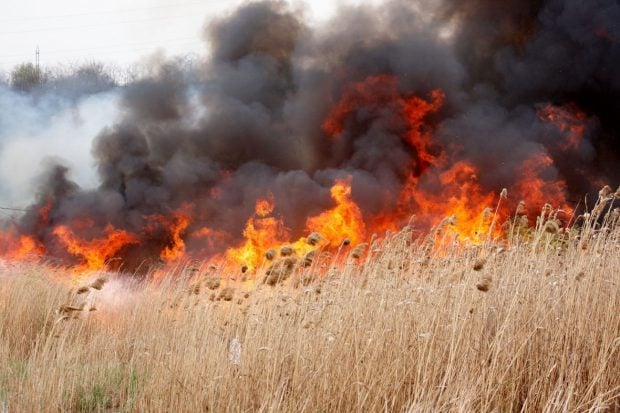 Incendiu de vegetație uscată lângă un cămin de bătrâni din județul Constanța. A fost activat Planul Roșu de Intervenție