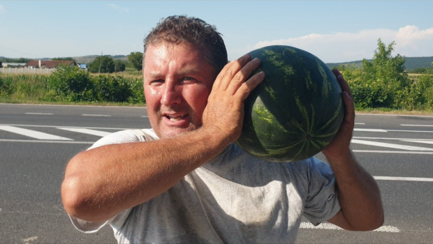 Cum alegem pepenele copt la piață. Metoda cu care un fermier garantează o acuratețe de 99%: „Cotorul verde este primul semn” 