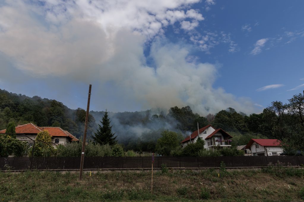 1 fumul a alertat vecinii gospodariei cuprinse de flacari