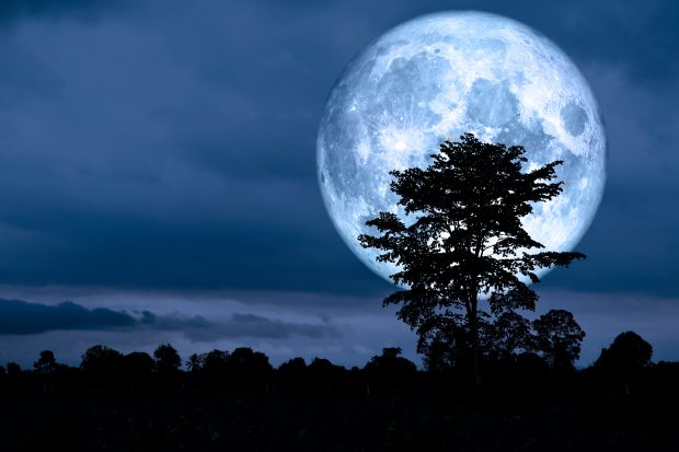 „Super-Luna albastră” din noaptea de 19 spre 20 august nu e nici super, nici albastră. Cătălin Beldea, vânător de eclipse, explică pentru Libertatea când va fi cea mai mare Lună din 2024