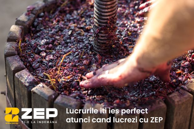 Cum să îngrijești vița de vie în sezonul de toamnă