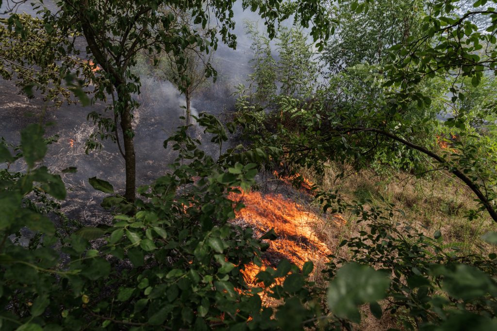 4 iarba uscata din liziera a alimentat incendiul