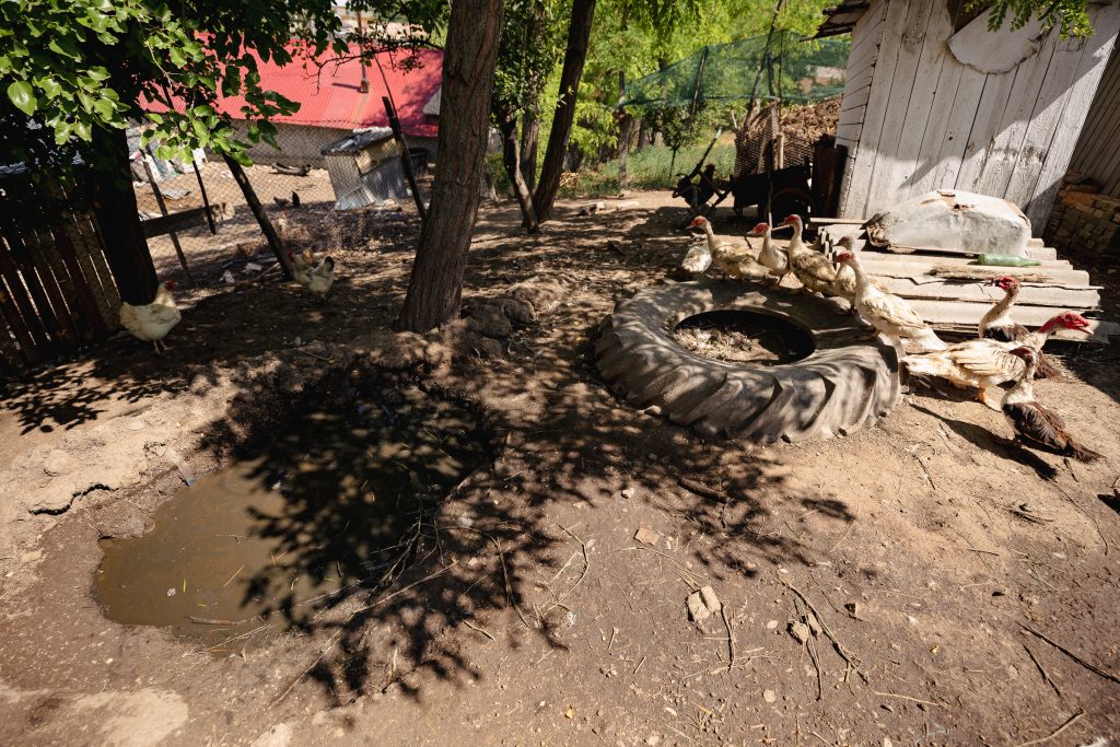 REPORTAJ Campioana olimpică la canotaj Adriana Adam s-a născut în noaptea de Înviere, pe treptele Poliției din Văleni, Vaslui: „Multă muncă, mult stres, mult plâns s-ajungă unde vrea ea!” 33 adriana ailincai olimpiada p 38