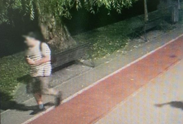 Bărbat arestat preventiv după ce a dat foc la vegetație în Parcul IOR din București. A fost dat de gol de camerele video