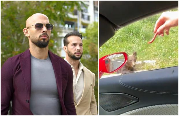Frații Tate, amendați după ce s-au filmat în timp ce hrăneau cu cârnăciori un urs, pe Transfăgărășan