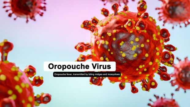 Ce este virusul Oropouche – cum se transmite, simptome, prevenție
