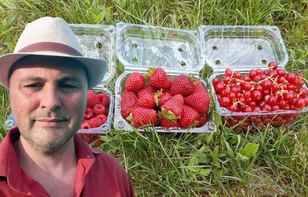 Alin Aignătoaei, tânărul care a renunțat la multinațională pentru agricultură. E celebru în Iași pentru căpșunele sale: „Profitul lunar? Un salariu mediu pe economie”