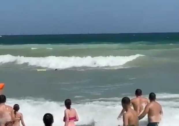 Copil salvat în ultima clipă de la înec, la Costinești. Șeful salvamarilor: „Orice părinte normal nu și-ar băga copilul în valuri când e steagul roșu arborat”