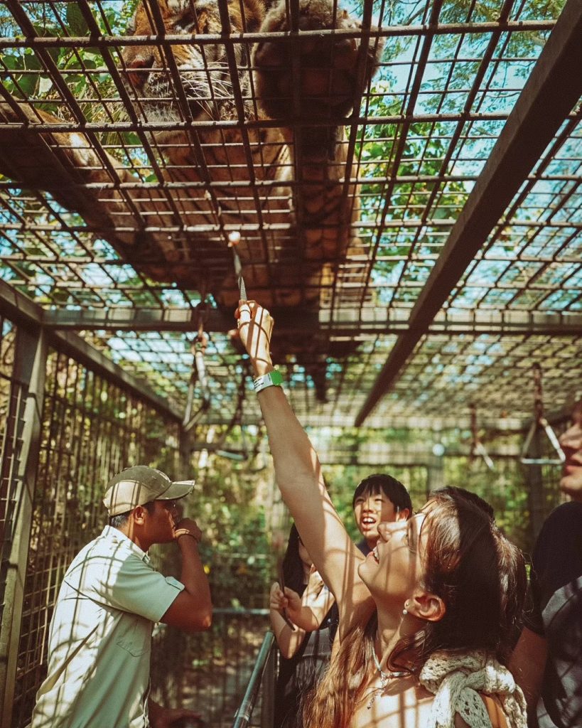 dana rogoz copii bali 7