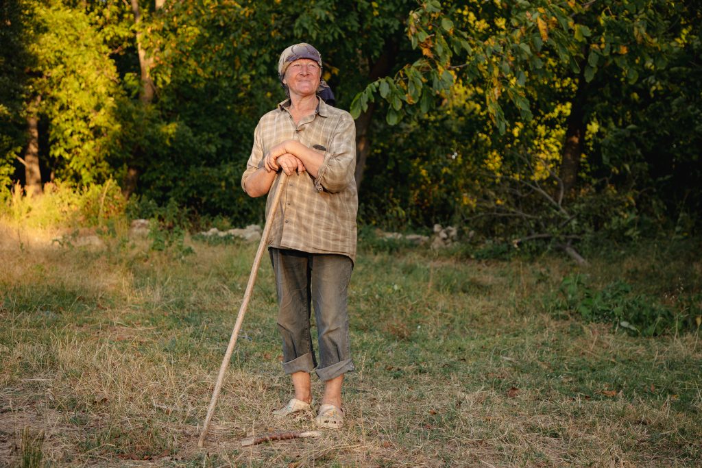 festival film in sat p 21