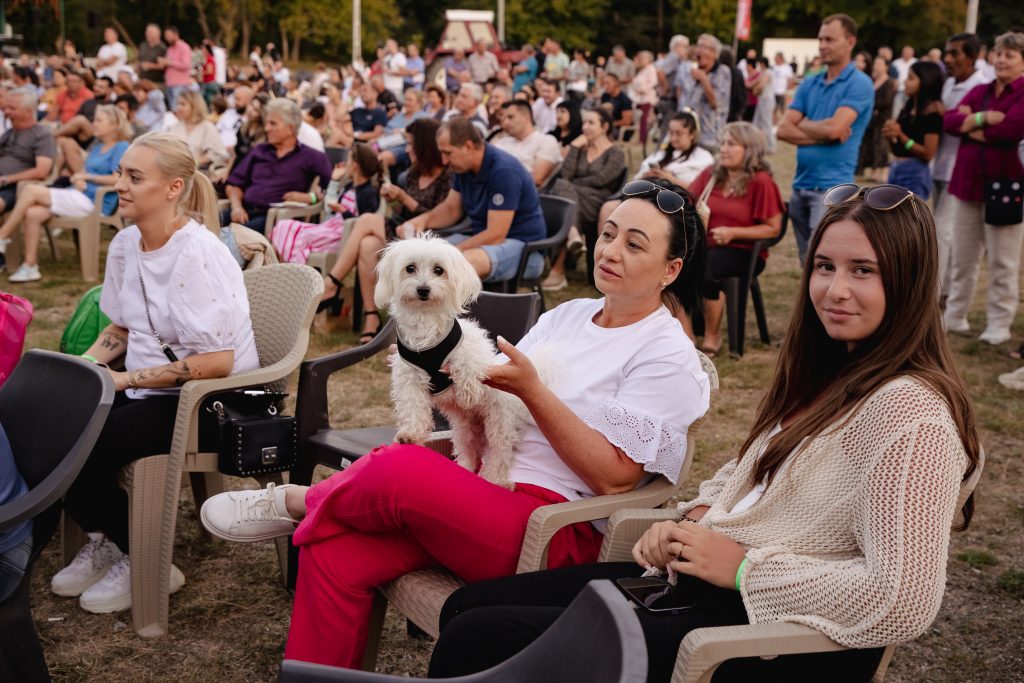 festival film in sat p 53