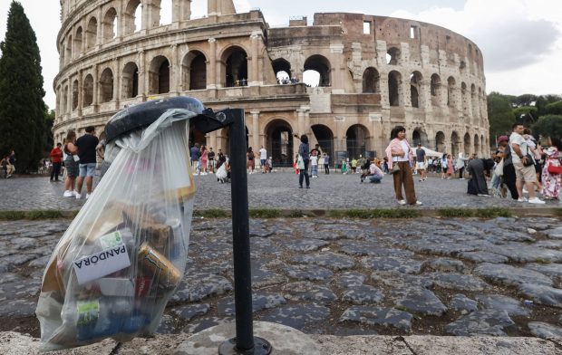 Roma este infestată de şobolani şi şerpi. Zoolog: „Este o adevărată junglă”