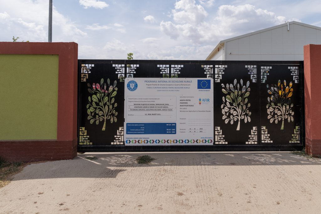 REPORTAJ Familia Bălașa din Jurilovca, Tulcea, a înființat o afacere cu migdale din fonduri europene: „Am pus cele mai gustoase soiuri! Dar fără procesare ieșim în pierdere” 1 img9516
