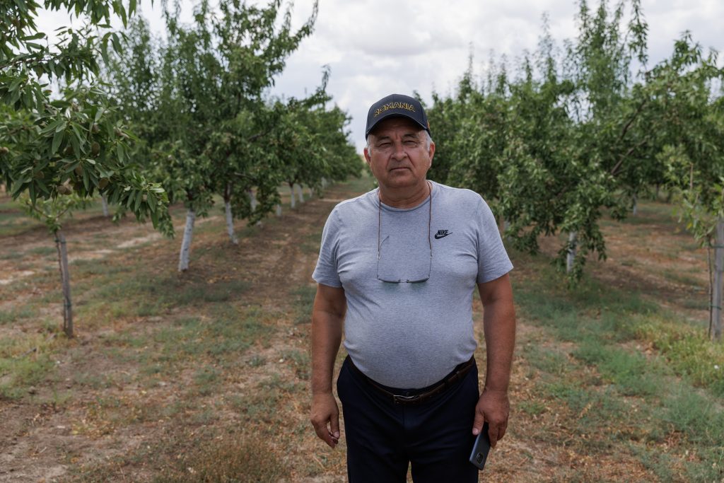 REPORTAJ Familia Bălașa din Jurilovca, Tulcea, a înființat o afacere cu migdale din fonduri europene: „Am pus cele mai gustoase soiuri! Dar fără procesare ieșim în pierdere” 5 img9577