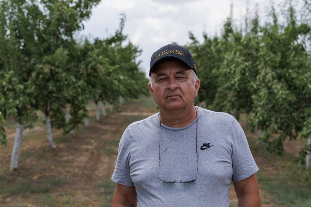 REPORTAJ Familia Bălașa din Jurilovca, Tulcea, a înființat o afacere cu migdale din fonduri europene: „Am pus cele mai gustoase soiuri! Dar fără procesare ieșim în pierdere” 18 img9579