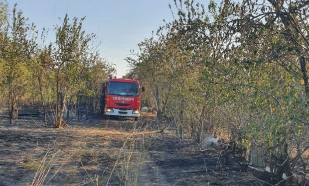 Bărbat găsit mort în urma unui incendiu de vegetație uscată, în județul Dolj. „A vrut să-și salveze casa și a ars”