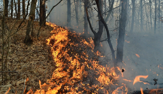 Incendiu major în Valea Călugărească. Focul, care se manifestă pe 5 hectare, a cuprins și o mașină