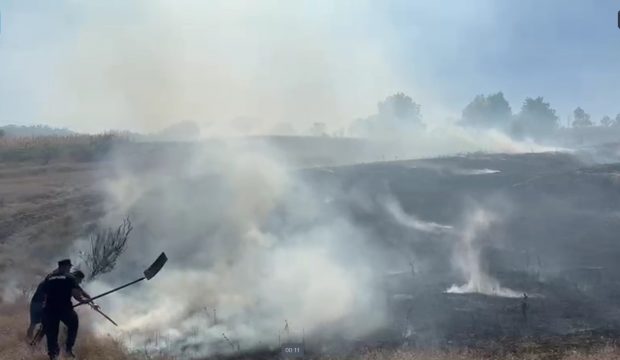 Intervenţie dificilă pentru stingerea unor incendii de vegetație care s-au extins pe 50 de hectare, în Vaslui