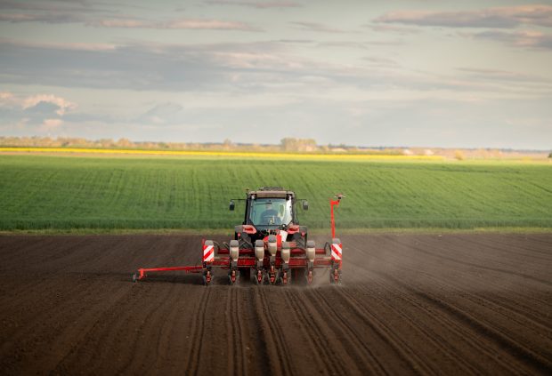 Revenire spectaculoasă a marilor ferme din România, după măsurile din agricultură ale Guvernului Ciolacu; de la pierderi, la profit de zeci de milioane de euro în doar 12 luni