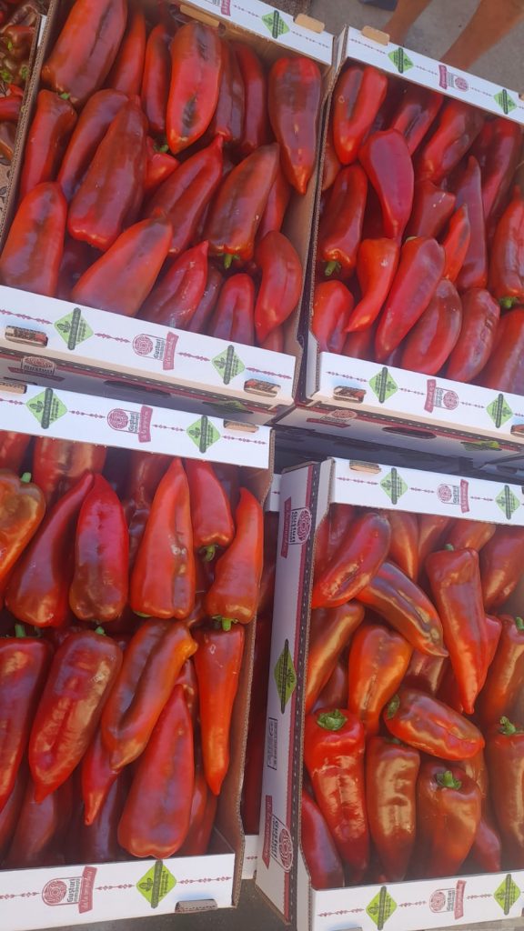 Povești cu gusturi românești. Verginica Tănase, învățătoarea din Vădăstrița care și-a dedicat timpul liber agriculturii tradiționale 3 verginica tanase4