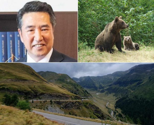 Ambasadorul Coreei de Sud la București, vacanță cu urși pe Transfăgărășan: „Mi-am cheltuit timpul și banii în România”