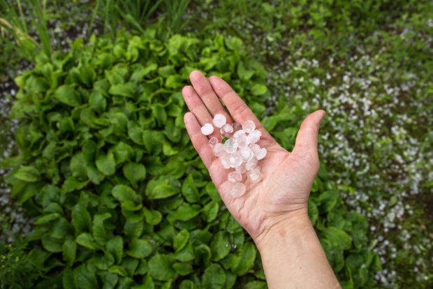 Ce este grindina – ce să faci în caz de grindină