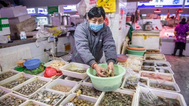 COVID-19 a apărut la o tarabă dintr-o piață de animale din China. „Dincolo de orice îndoială rezonabilă”, se arată într-un studiu