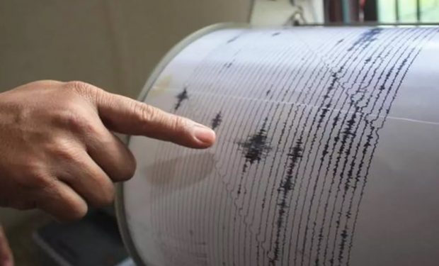 Cutremur în zona seismică Vrancea. Ce magnitudine a avut