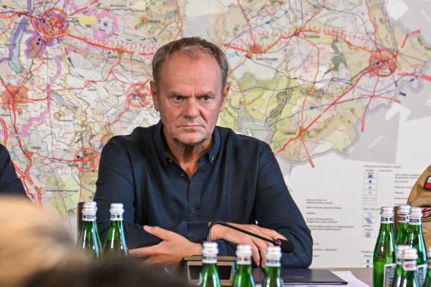 Donald Tusk declară „război” împotriva castorilor, după inundațiile din Polonia: „Alegem siguranța orașelor”