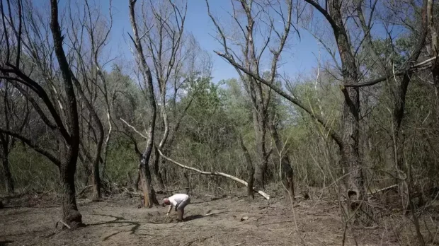 Resturi dintr-o dronă rusească, găsite în apropiere de Periprava. Armata caută și alte fragmente în zona Caraorman