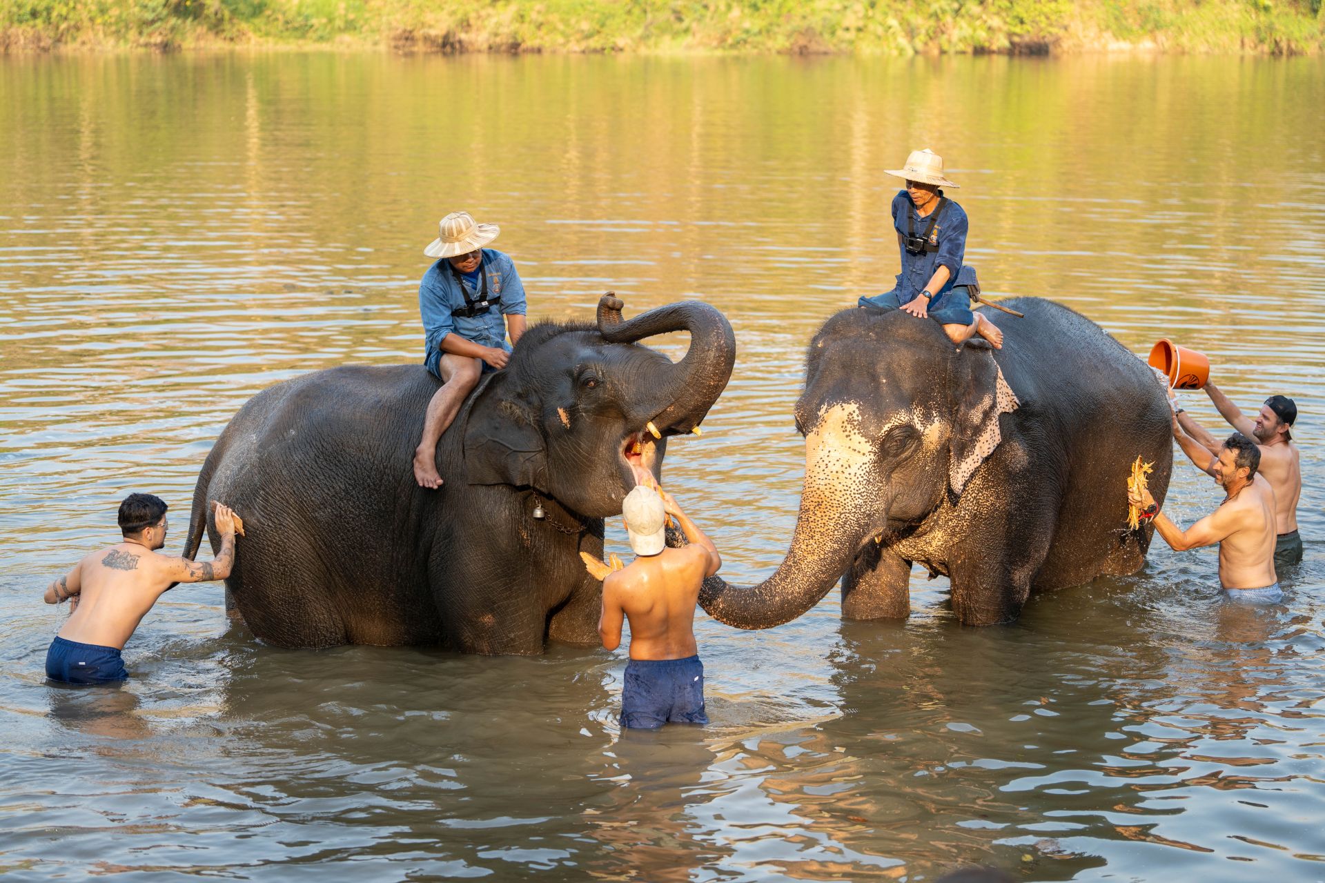 Concurenții De La Asia Express 2024, în Pragul Disperării. Tensiunea Cursei  și-a Spus Cuvântul: „Eram Care Pe Care” | Libertatea