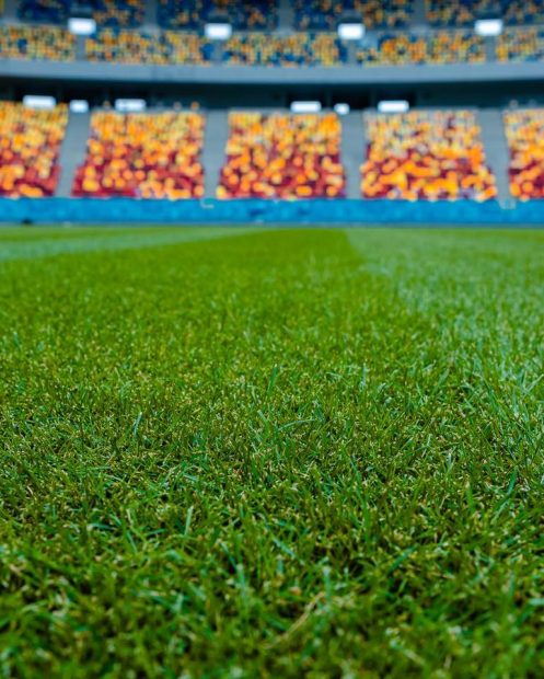 Primăria Capitalei schimbă gazonul de pe Arena Naţională. Cine suportă costurile înlocuirii suprafeței de joc