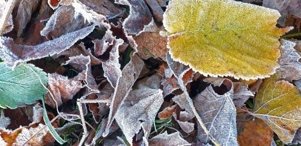 Temperatură sub zero grade la Miercurea-Ciuc, duminică dimineață. A fost cea mai scăzută din țară