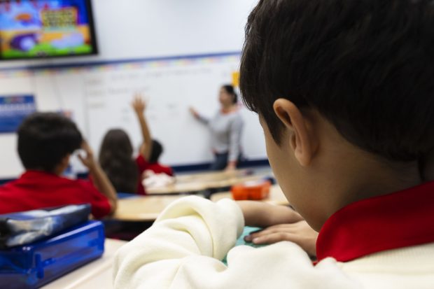 Peste 100.000 de profesori vor fi instruiți în pedagogie digitală. Ministerul Educației a aprobat 19 programe de formare