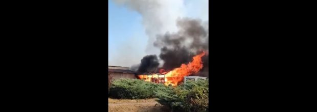 Incendiul uriaș din Maramureș, care a făcut scrum 500 de hectare și 7 case, e sub control: „Așa ceva nu a mai fost în ultimii ani”